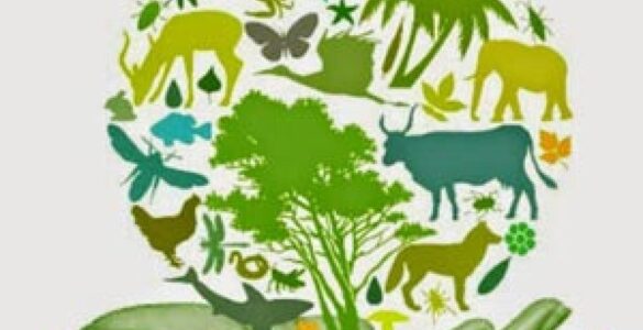 Turismo sustentável reduz os impactos socioambientais e estimula a economia