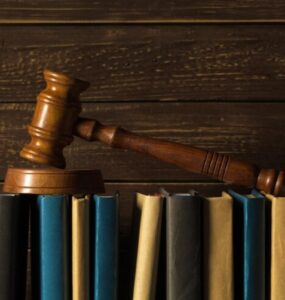 Advogada esclarece dúvidas sobre Amicus Curiae