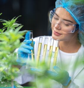 Mercado de Cannabis medicinal deve atingir R$ 1 bi em 2025