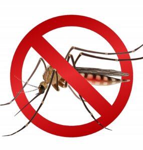 Ministério da Saúde reforça combate à dengue em São Paulo