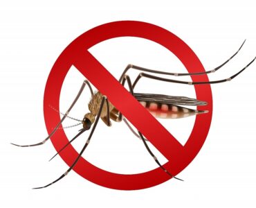 Ministério da Saúde reforça combate à dengue em São Paulo