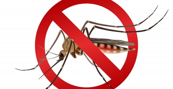 Ministério da Saúde reforça combate à dengue em São Paulo