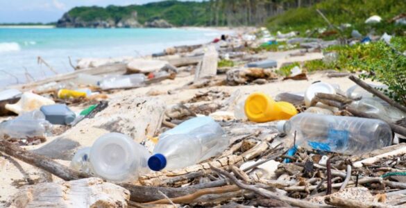 Turista Consciente: movimento quer reduzir lixo nas praias