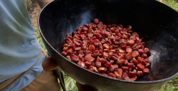 Restaurante-escola do MuCA fortalece turismo na Amazônia