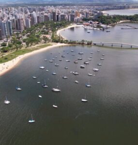 Saúde, educação e segurança nas Onças Brasileiras são melhores, revela estudo