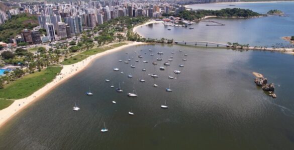 Saúde, educação e segurança nas Onças Brasileiras são melhores, revela estudo