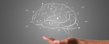 Conexão entre inteligência e o mundo externo impulsiona aprendizado e inovação