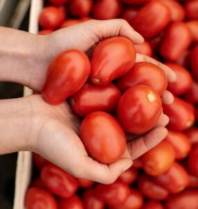 Fugini explica tecnologia do molho de tomate sem conservante
