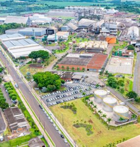 Cocamar publica Relatório de Sustentabilidade 2024