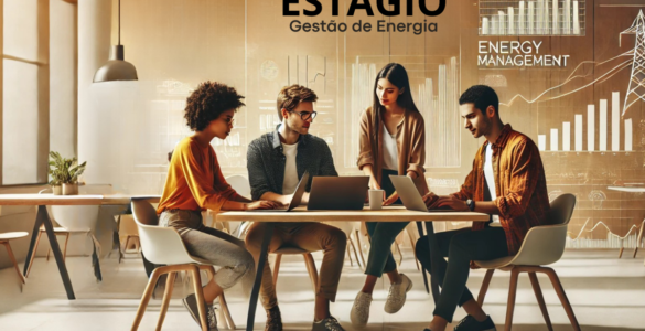 Elevar Energia fomenta talentos e gestão tailor-made