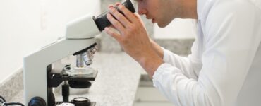 Estudos revelam novos benefícios da própolis