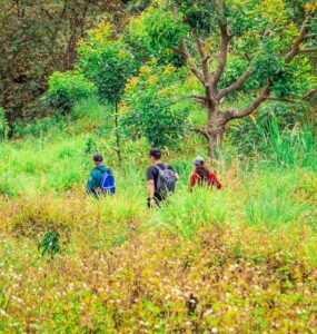 Turismo regenerativo coloca a natureza no centro desta atividade