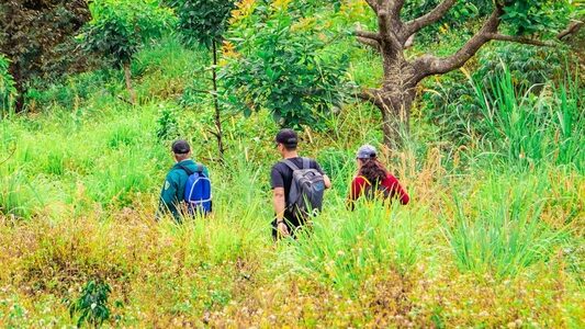 Turismo regenerativo coloca a natureza no centro desta atividade