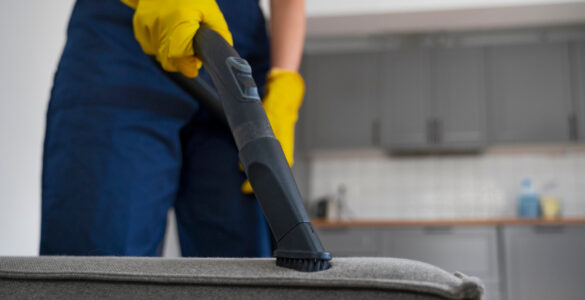 Conhecimento é 1º passo para atuar com higienização de sofás