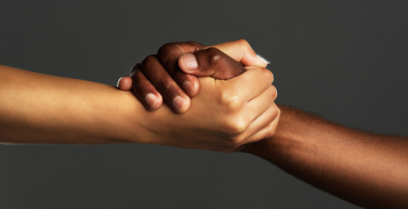 Publicação aponta dados sobre uso de cannabis no exterior