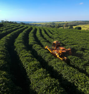 Tarifas de Trump abrem chance ao agro brasileiro