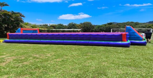 Serviço especializado oferece segurança em festas infantis