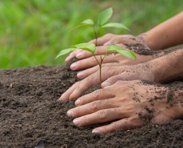 Promessas climáticas podem exigir 1 bilhão de hectares