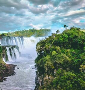 Mercado de crédito de carbono acelera no Brasil