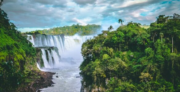 Mercado de crédito de carbono acelera no Brasil