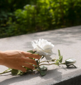 Ciclo Assist oferece assistência funeral personalizada