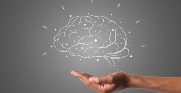 Neurociência ajuda em estratégias para o mundo empresarial