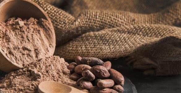 Indústria de cosméticos incorpora ingredientes naturais do cacau em sua produção