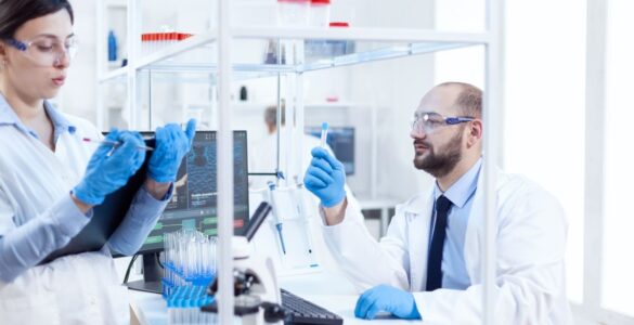 Creatinas aprovadas pela Anvisa em nova análise de 2025