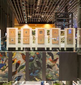 Exposição O Legado Suíço Brasileiro na Amazônia estará em cartaz em Natal - RN