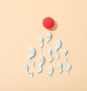 Crescem os pedidos de reversão de vasectomia