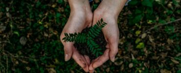 Jornada de Inovação Bancorbrás Social premia iniciativas de turismo sustentável