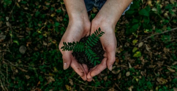 Jornada de Inovação Bancorbrás Social premia iniciativas de turismo sustentável