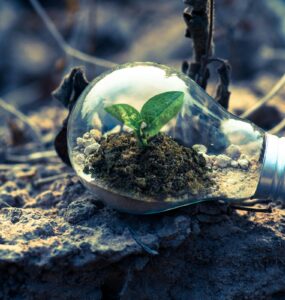 Sustentabilidade guia escolhas de 67% dos brasileiros