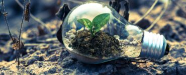 Sustentabilidade guia escolhas de 67% dos brasileiros