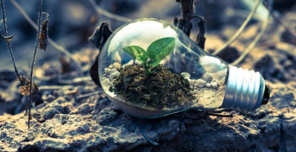 Sustentabilidade guia escolhas de 67% dos brasileiros