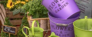 Segmento de flores mostra crescimento nos últimos anos