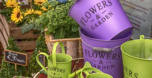 Segmento de flores mostra crescimento nos últimos anos