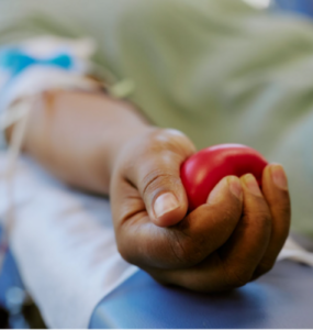 Doar sangue exige cuidados e critérios específicos