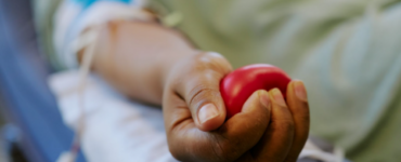 Doar sangue exige cuidados e critérios específicos