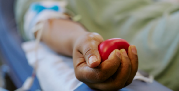 Doar sangue exige cuidados e critérios específicos