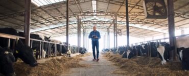 Fx4 Agro opera confinamento de gado em três regiões do país