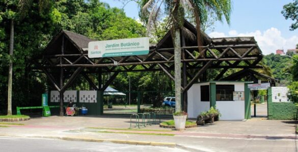 Forest Run leva corrida ao ar livre para o Jardim Botânico de Santos