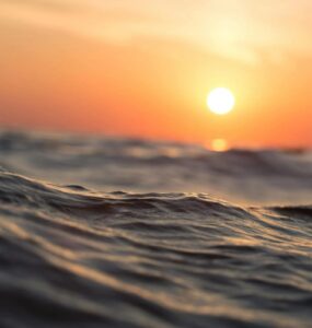 Dia Mundial dos Oceanos alerta sobre a importância desta fonte de biodiversidade
