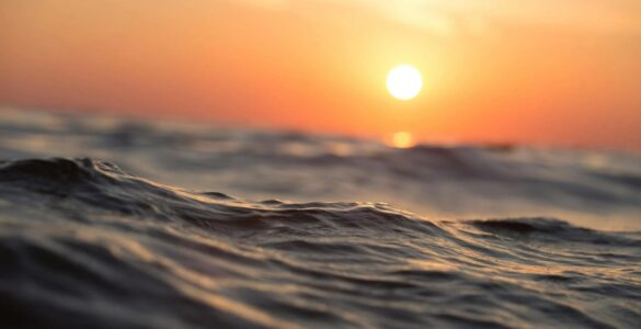 Dia Mundial dos Oceanos alerta sobre a importância desta fonte de biodiversidade