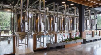 Novo site de empresa de bebidas é criado por jovens talentos
