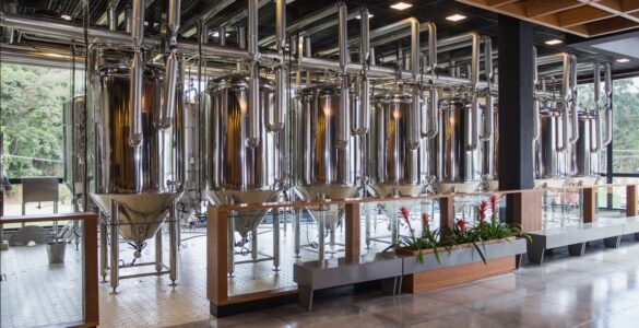 Novo site de empresa de bebidas é criado por jovens talentos