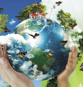 Dia Mundial do Meio Ambiente é comemorado em 5 de junho