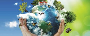 Dia Mundial do Meio Ambiente é comemorado em 5 de junho