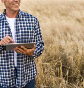 Pagamento rural exige atenção à segurança jurídica