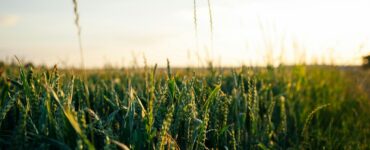 Tecnologia inova o campo e agronegócio em 2025